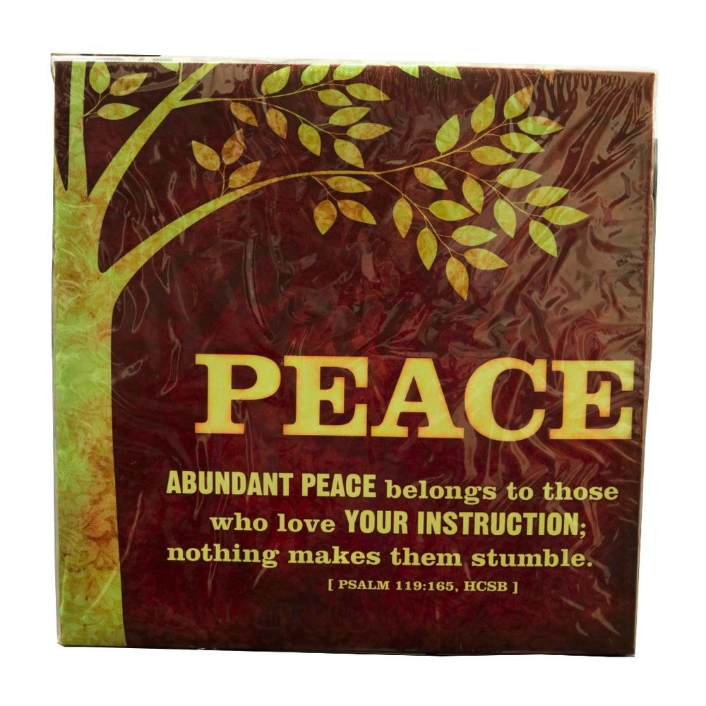NWT Stretched Canvas Print Abundant Peace